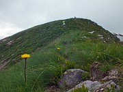 55 Basta pini mugo, ora solo prateria...
